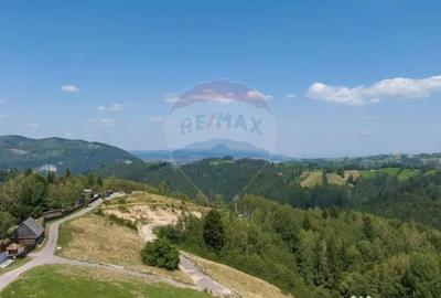 Teren de 15345 mp, în Șimon - 9