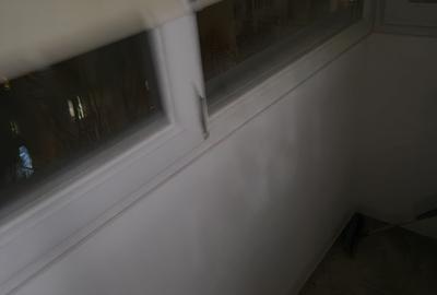 COLENTINA RAU, MAIOR BACILA IN PLAN SECUND, PARCUL PLUMBUITA LA 5MIN. - 15