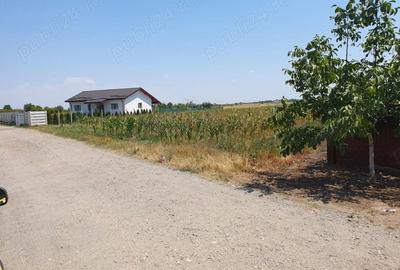 Teren de 1362 mp, în Coșoveni - 1