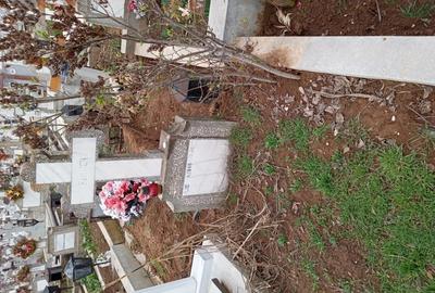 Loc de veci pentru inchiriere - 1