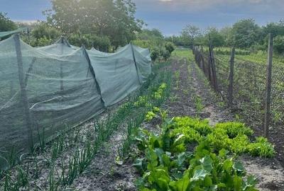 Casă individuală cu 4 camere cu Canalizare în Călina - 12