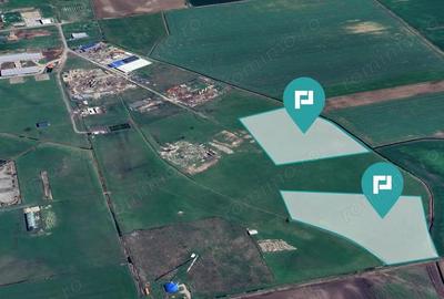 Teren intravilan de 26,606mp Sacalaz Teren intravilan de 26,606mp Sacalaz - 3