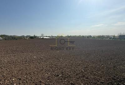 Teren Construcții intravilan de 6888 mp, în Joița - 2