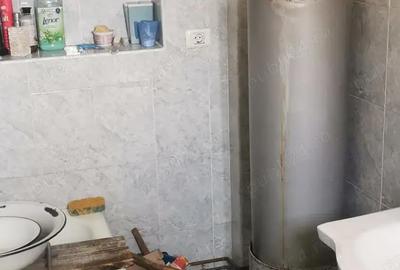Casă cu 2 camere în Sebiș - 7