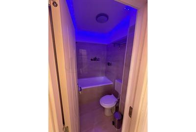 Apartament cu 2 camere decomandat, mobilat în Gara de Nord - 12