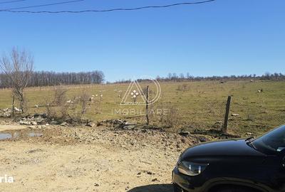 Teren de 2338 mp, în Bălești