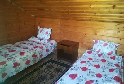 Casă cu 11 camere cu Teren 2200 Mp în Crișan - 12