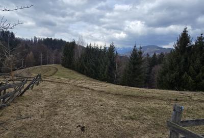 Teren Construcții intravilan de 3040 mp, în Bran - 5