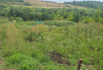 Vand teren intravilan,strada Budiului, 2 parcele,   total 5000 mp,neconstruibil. - 2