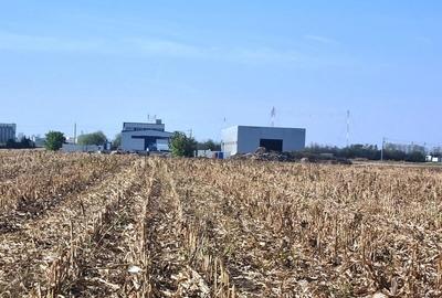 Vanzare Teren industrial  Magurele 8000mp - 8