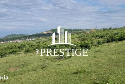 Teren de 2000 mp, în Trei Stejari - 15