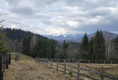 Teren Construcții intravilan de 3040 mp, în Bran - 11