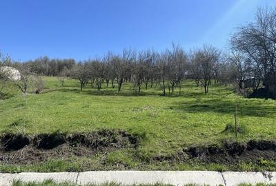Teren de 2250 mp, în Aluniș - 1