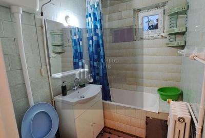 Apartament cu 2 camere semidecomandat, mobilat în Drumul Găzarului - 11