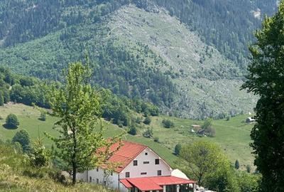 Spațiu comercial, în Remeți - 5