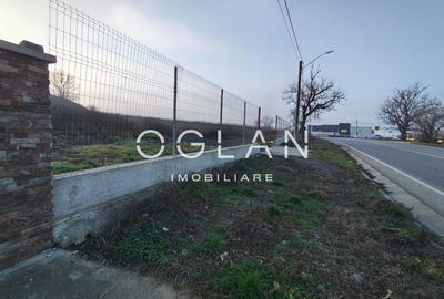 Teren Imprejmuit, la sosea (DN14)- SURA MARE - 3