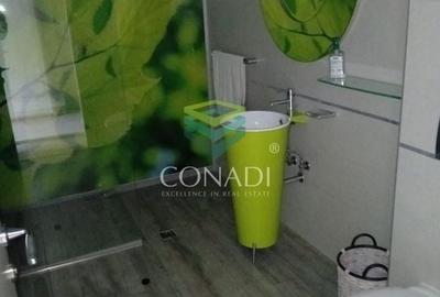 Vila cu 5 camere  P+1 Baneasa Vila cu 5 camere  P+1 Baneasa - 19