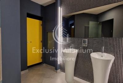 Birou, de 450 mp, în Băneasa - 6