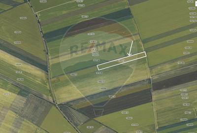 Teren extravilan de 9750 mp, în Hălchiu - 6