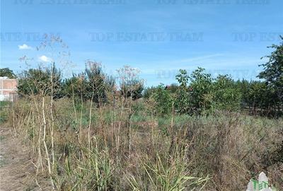 Teren intravilan in localitatea Cornetu cu deschidere mare, ideal pentru dezvolt Teren intravilan in localitatea Cornetu cu deschidere mare, ideal pentru dezvolt - 5