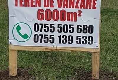 Teren de 6000 mp, în Turnișor - 3