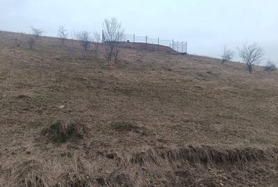 Teren Construcții intravilan de 310 mp, în Micești - 1