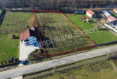 Teren de 4166 mp, în Stănești - 6