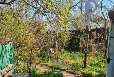 Casă cu 2 camere cu Teren 550 Mp în Teliucu Inferior - 5