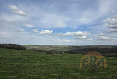 Casa Premium 4 camere - Saldabagiu de Munte, liniste, view spectaculos - 4
