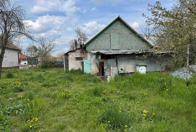 Casă cu 2 camere în Dragșina - 2