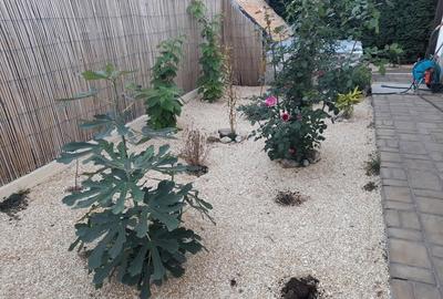 Casă cu 3 camere cu Teren 285 Mp în Valu lui Traian