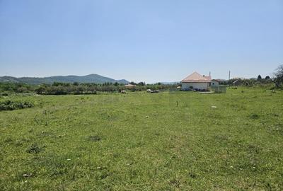 Teren de in Campina I zona Voila - 4