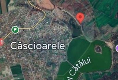 Teren Construcții intravilan de 9200 mp, în Căscioarele - 3