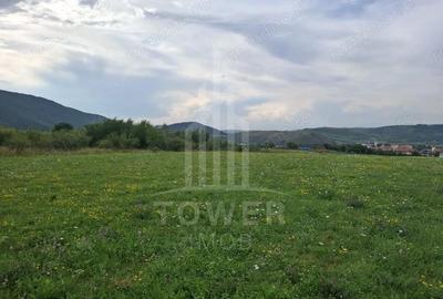 Teren de 1500 mp, în Orlat - 3