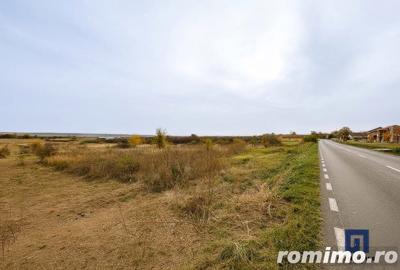 Teren de 19000 mp, în Pișchia - 5