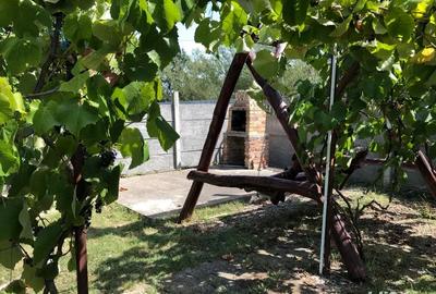 Casă cu 4 camere cu Teren 1700 Mp în Tulca - 1