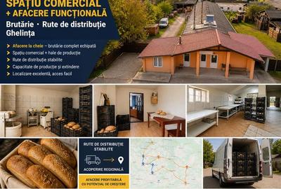 Spațiu comercial, de 700 mp, în Ghelința - 1
