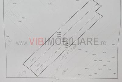 Racari - Teren - 13659 mp - intravilan - constructii - 4
