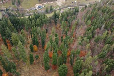 Casă cu 4 camere în Central - 5