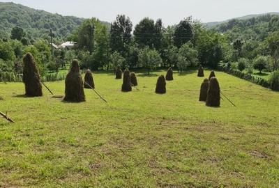 Teren vanzare in comuna Adunati - zona BREAZA - Prahova Teren vanzare in comuna Adunati - zona BREAZA - Prahova - 6