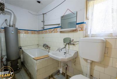 FILM!Doua case traditionale,pe domeniu cu peste 5.000mp tere - 10