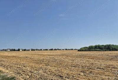 Teren de 4428 mp, în Balotești - 5