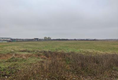 Teren 4588 mp, Remetea Mare Comision 0% - 3