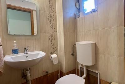 Casa insiruita cu 4 camere, de inchiriat, Timisoara, zona Lunei - 25