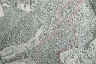 Teren de 137400 mp, în Central - 1