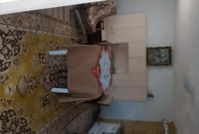 Casă cu 3 camere în Muntele Băișorii - 4