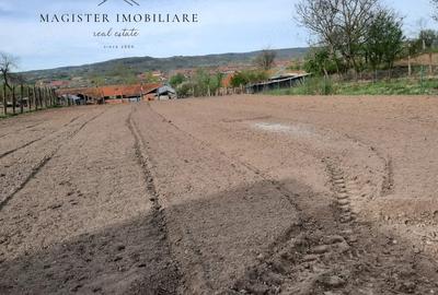 Casă cu 5 camere cu Teren 1600 Mp în Zorlențu Mare - 1