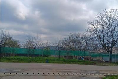 Teren Construcții intravilan de 46000 mp, în Dorobanț - 10