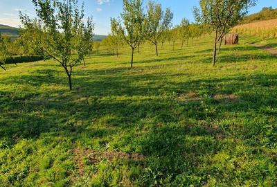 Spațiu comercial, în Aluniș