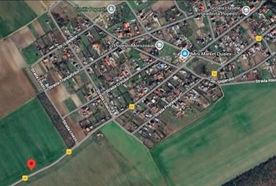 Lot intravilan 668 mp, Popesti Vasilati, la asfalt - 5